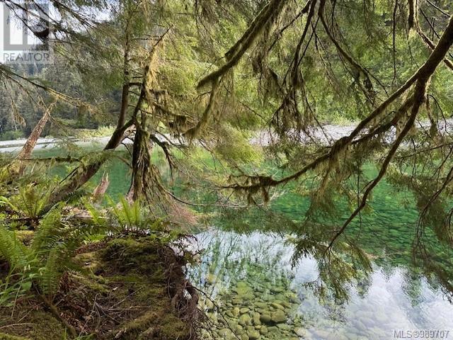 Ne1/4sec15 Gordon River Rd, Port Renfrew, British Columbia  V0S 1K0 - Photo 46 - 989707