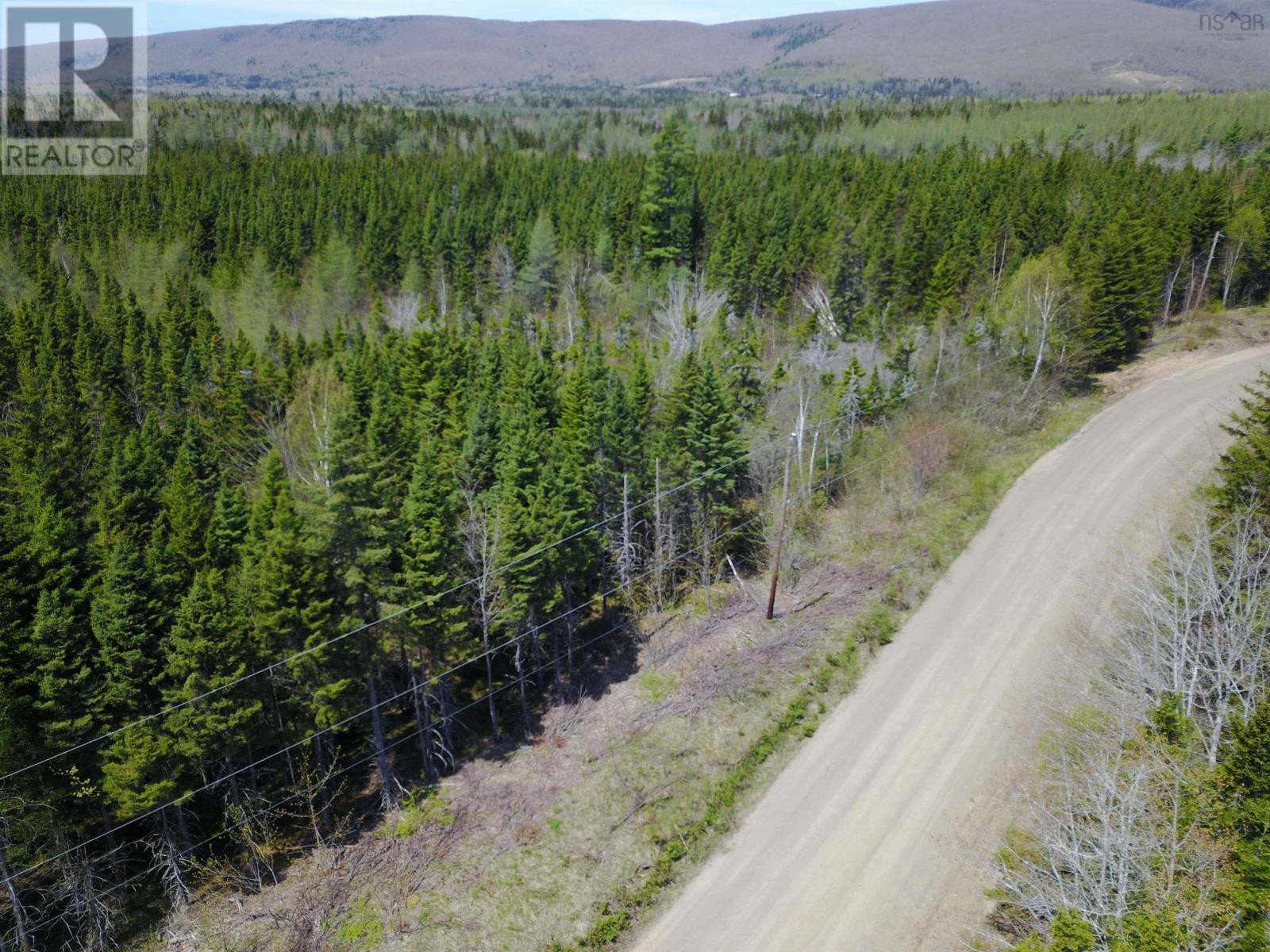 Cameron Road, Iron Mines, Nova Scotia  B0E 2K0 - Photo 10 - 202510865