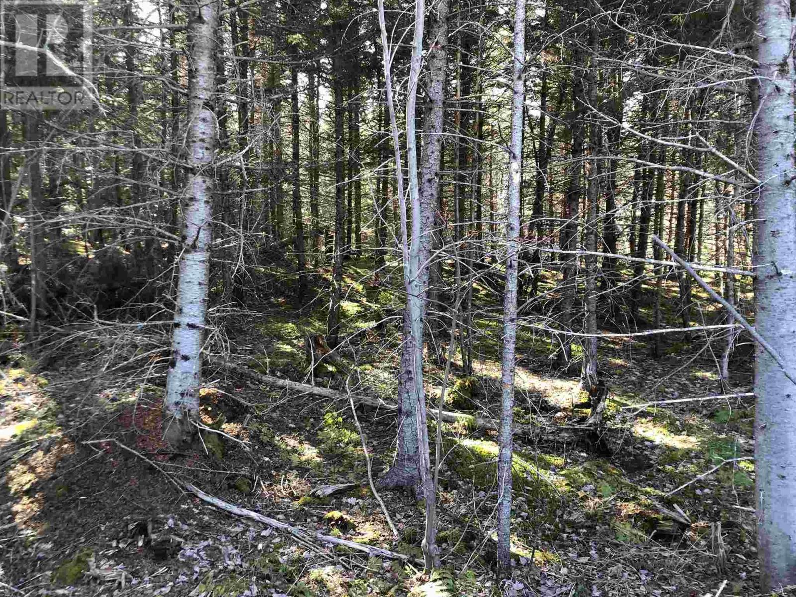 Cameron Road, Iron Mines, Nova Scotia  B0E 2K0 - Photo 14 - 202510865