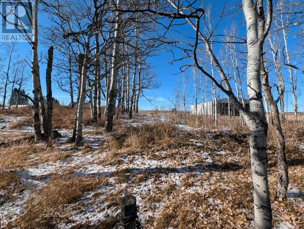 30308 Rr50, Rural Mountain View County, Alberta  T0M 0R0 - Photo 2 - A2206990