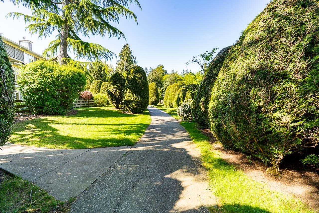 51 15450 Rosemary Heights Crescent, Surrey, British Columbia  V3Z 0K1 - Photo 35 - R3001098