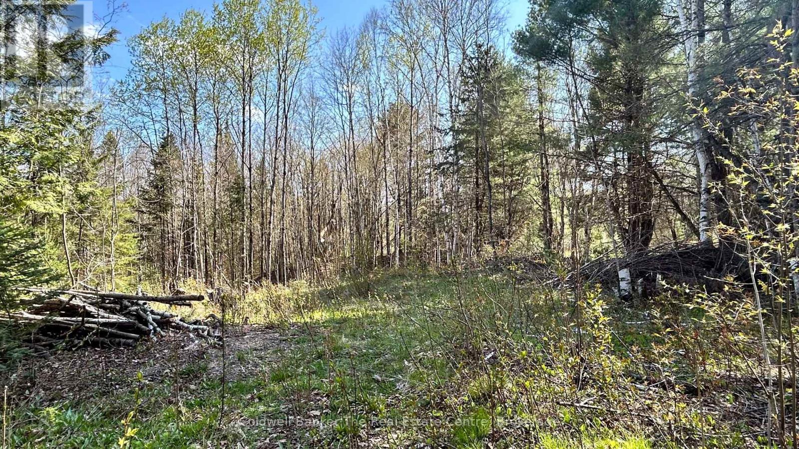0 Ursa Road, Highlands East, Ontario  K0M 1S0 - Photo 4 - X12145817