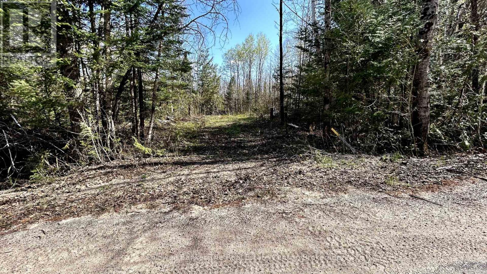 0 Ursa Road, Highlands East, Ontario  K0M 1S0 - Photo 5 - X12145817