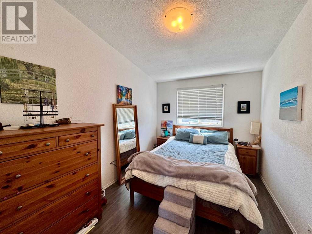5815 70 Avenue Close, Rocky Mountain House, Alberta  T4T 1V8 - Photo 9 - A2217767