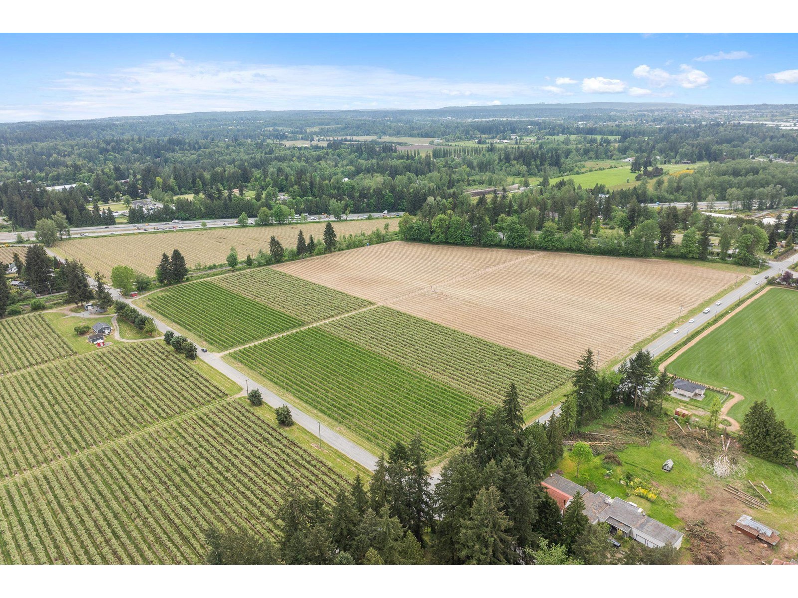 37.6 Ac 240 Street, Langley, British Columbia  V1M 3P8 - Photo 10 - R3001707