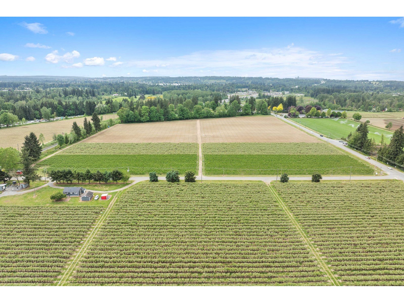 37.6 Ac 240 Street, Langley, British Columbia  V1M 3P8 - Photo 5 - R3001707