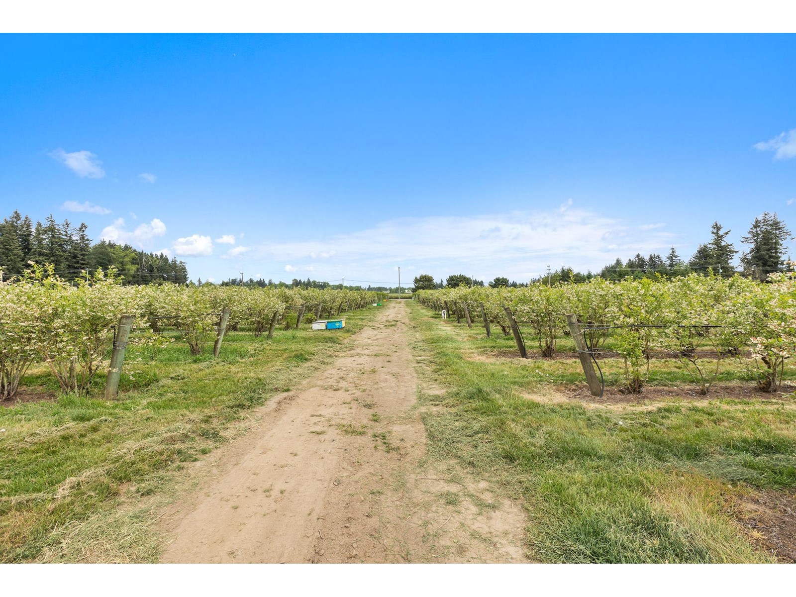 37.6 Ac 240 Street, Langley, British Columbia  V1M 3P8 - Photo 13 - R3001707