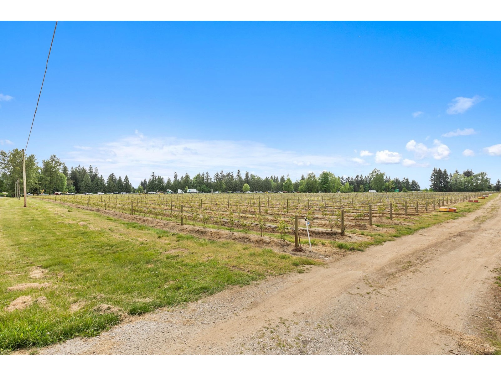 37.6 Ac 240 Street, Langley, British Columbia  V1M 3P8 - Photo 20 - R3001707