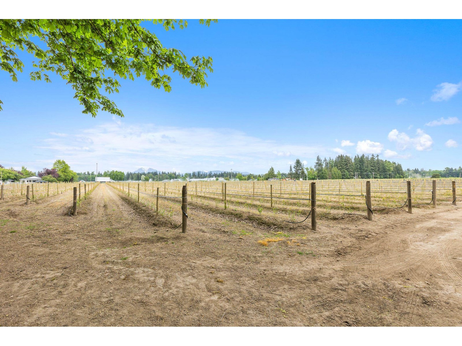 37.6 Ac 240 Street, Langley, British Columbia  V1M 3P8 - Photo 16 - R3001707