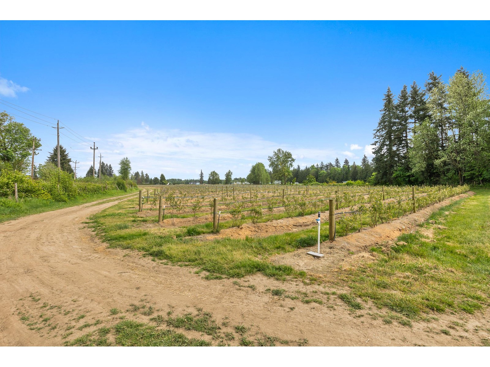 37.6 Ac 240 Street, Langley, British Columbia  V1M 3P8 - Photo 23 - R3001707