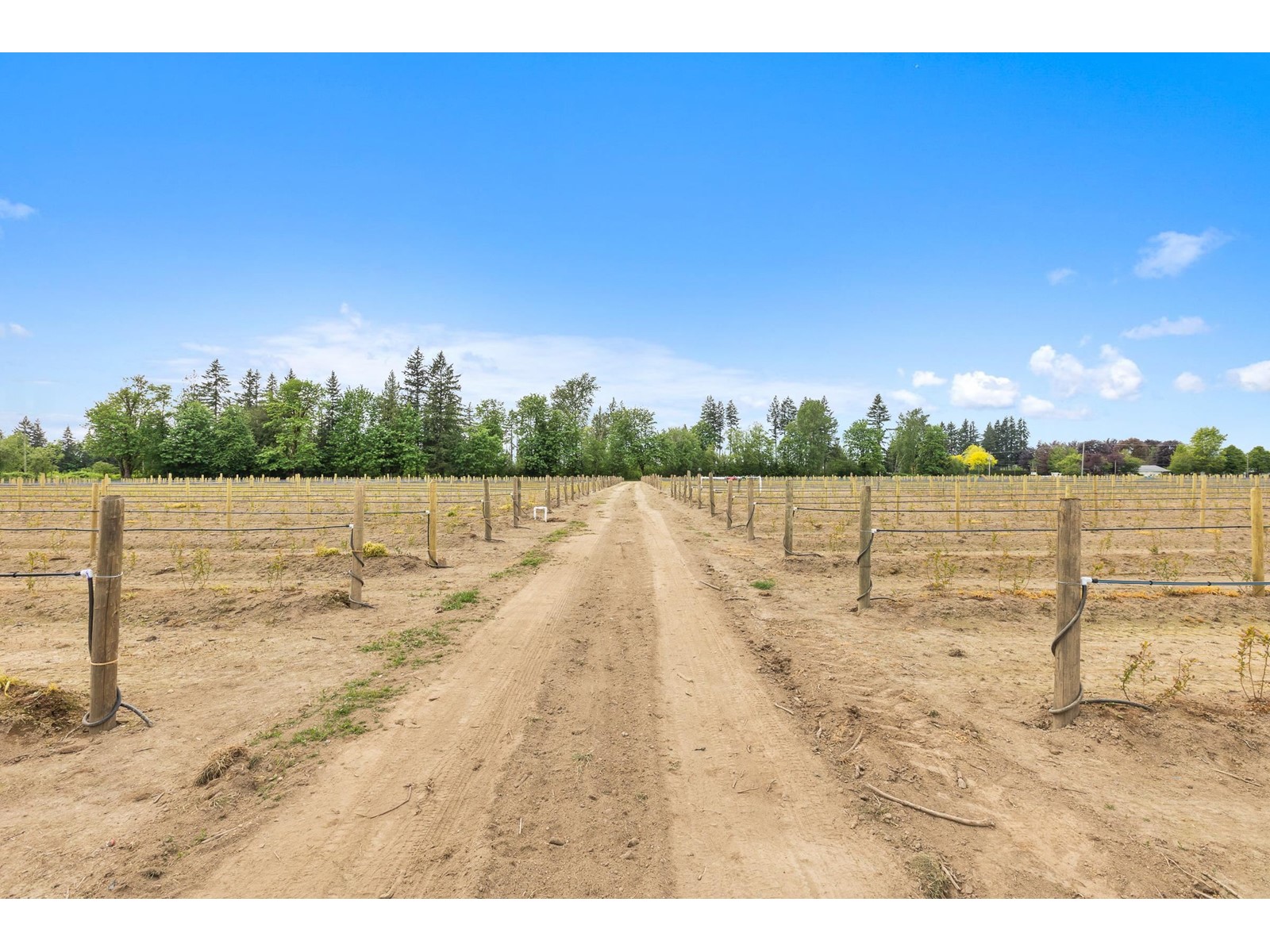 37.6 Ac 240 Street, Langley, British Columbia  V1M 3P8 - Photo 14 - R3001707