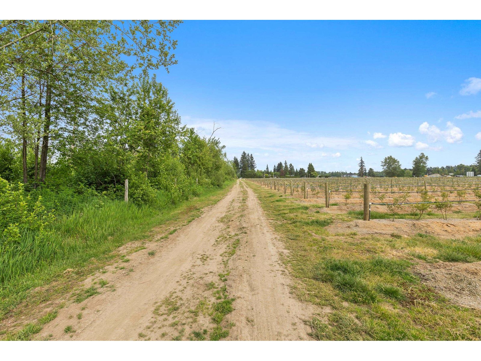 37.6 Ac 240 Street, Langley, British Columbia  V1M 3P8 - Photo 24 - R3001707