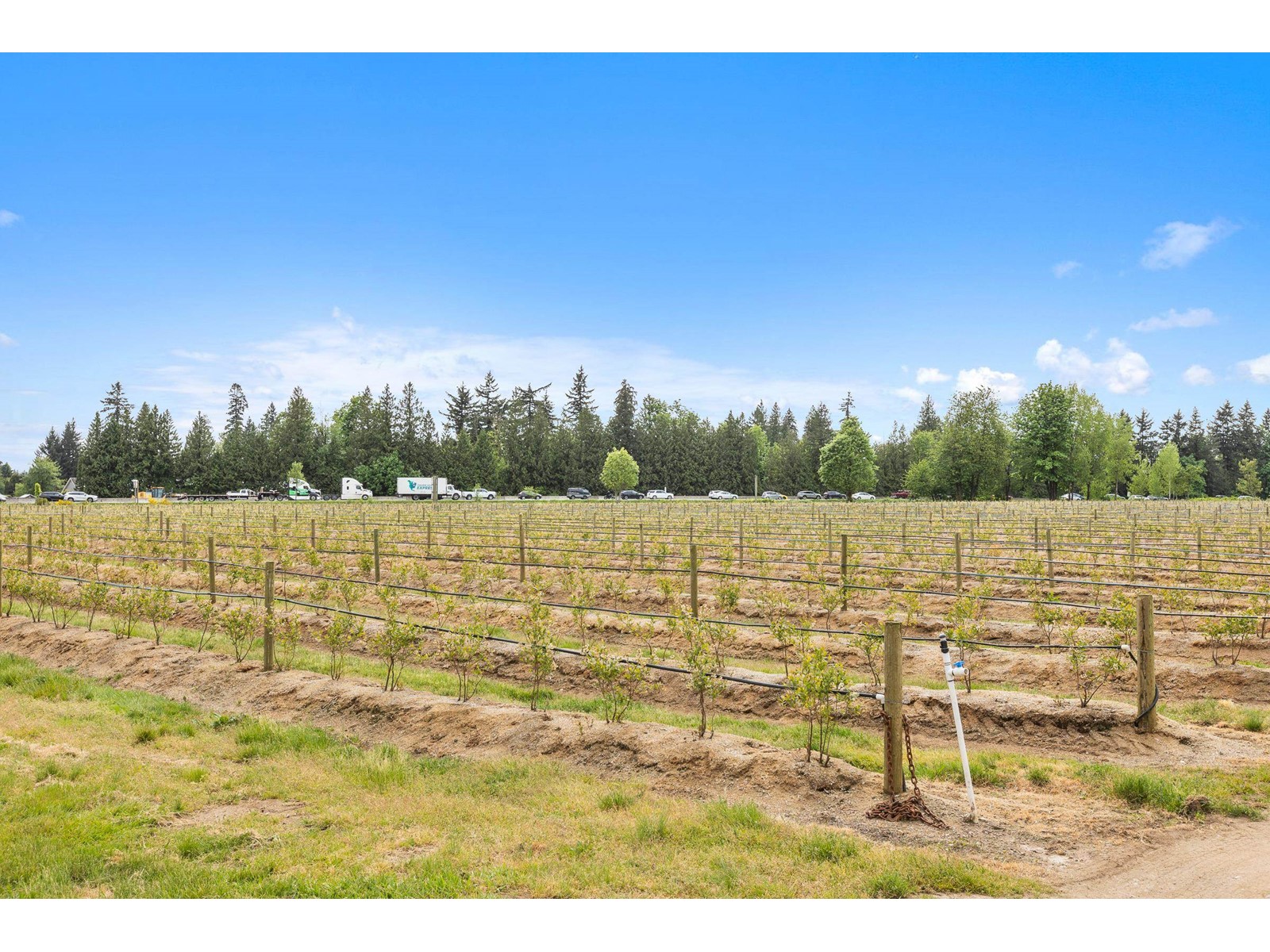 37.6 Ac 240 Street, Langley, British Columbia  V1M 3P8 - Photo 21 - R3001707