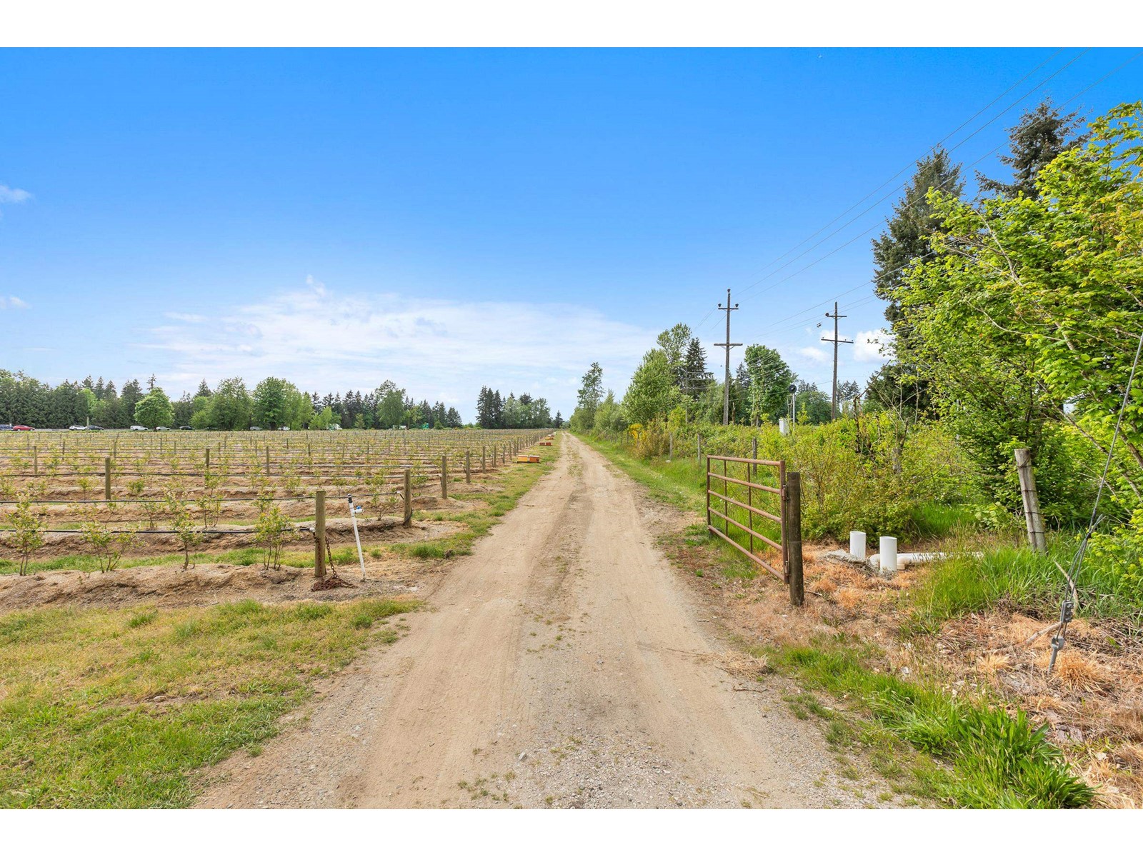 37.6 Ac 240 Street, Langley, British Columbia  V1M 3P8 - Photo 22 - R3001707