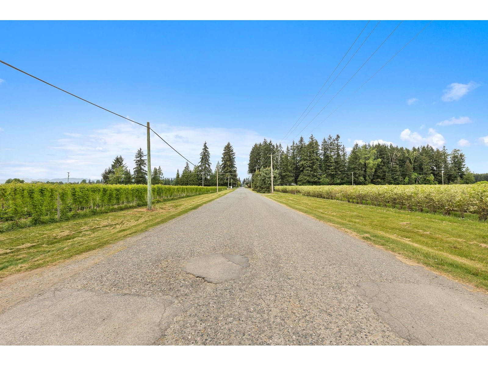 37.6 Ac 240 Street, Langley, British Columbia  V1M 3P8 - Photo 27 - R3001707