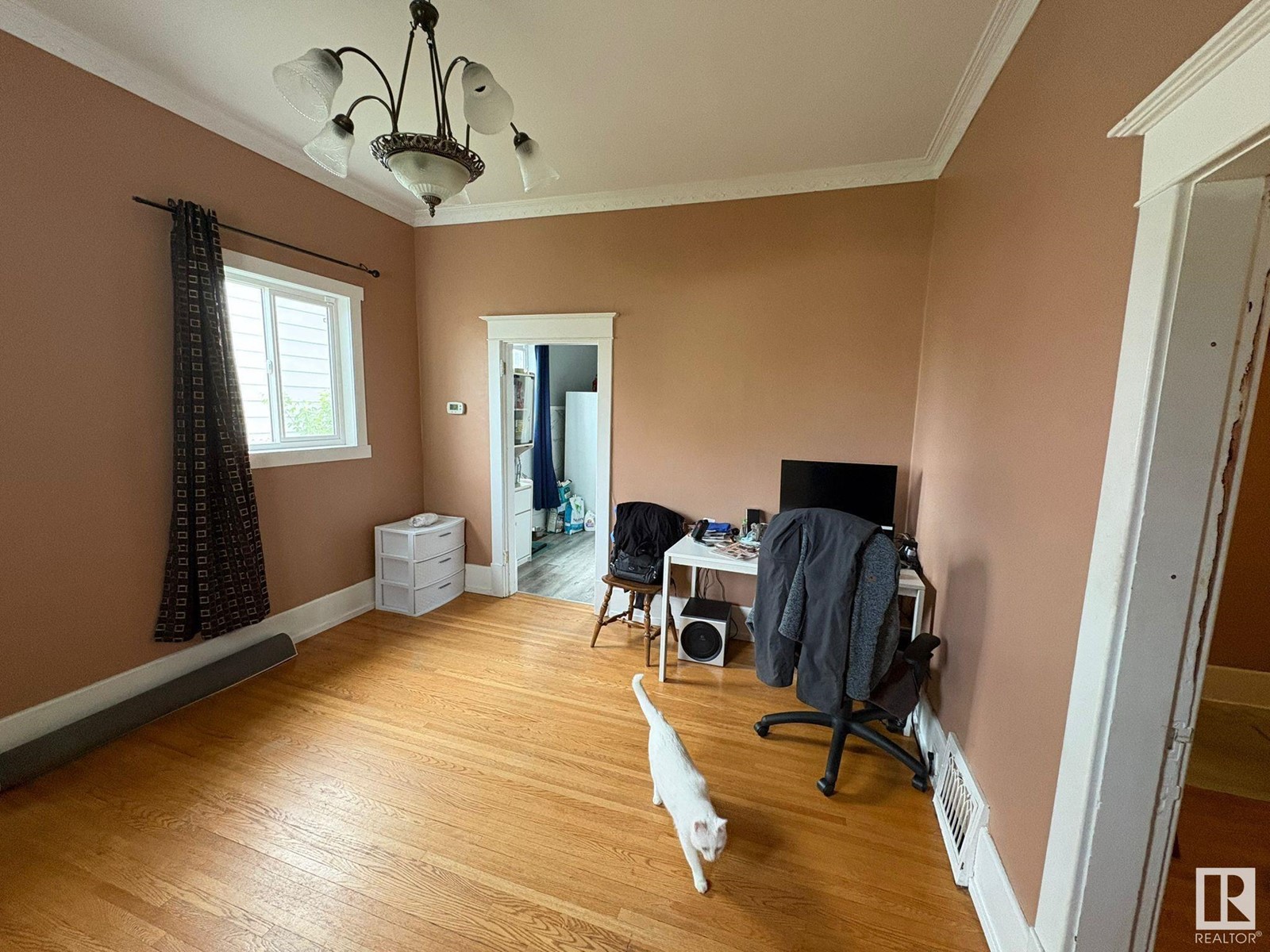 11228 95 St Nw, Edmonton, Alberta  T5G 1K9 - Photo 16 - E4429778