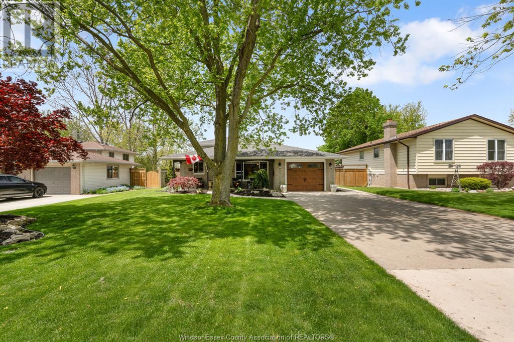 Property at 19 Flemingo image 5