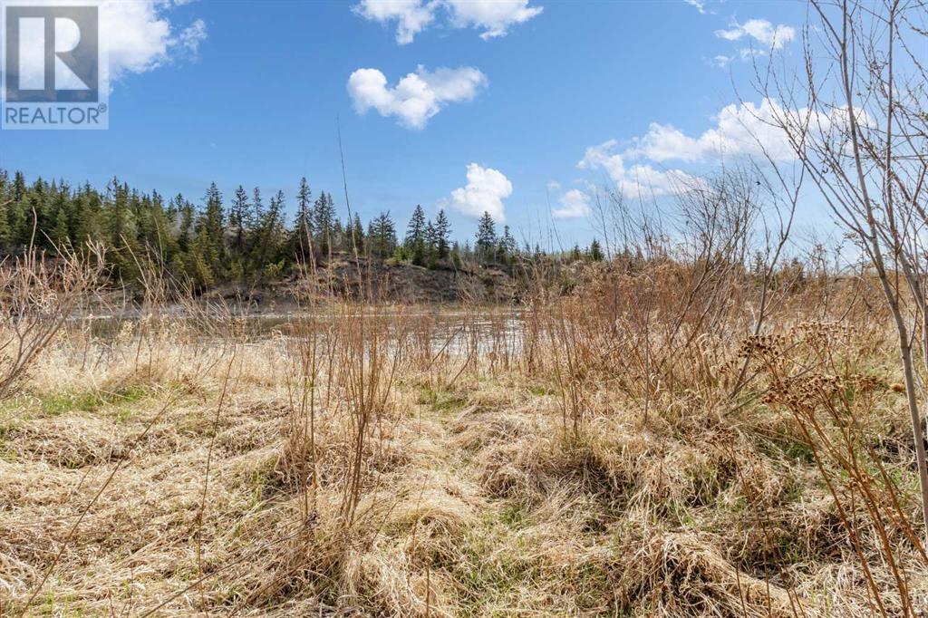 21372 Highway 590, Rural Red Deer County, Alberta  T0M 0Y0 - Photo 34 - A2215365
