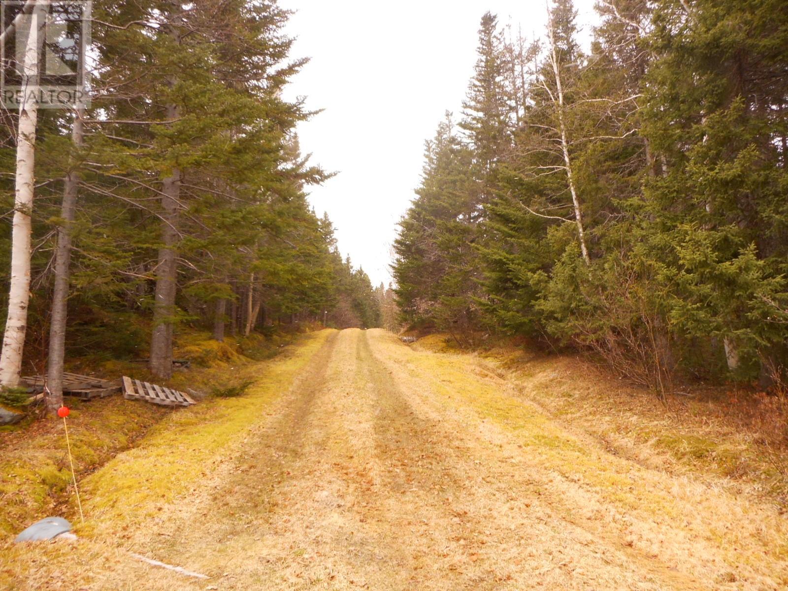 00 Main Street, Triton, Newfoundland & Labrador  A0J 1V0 - Photo 12 - 1284989