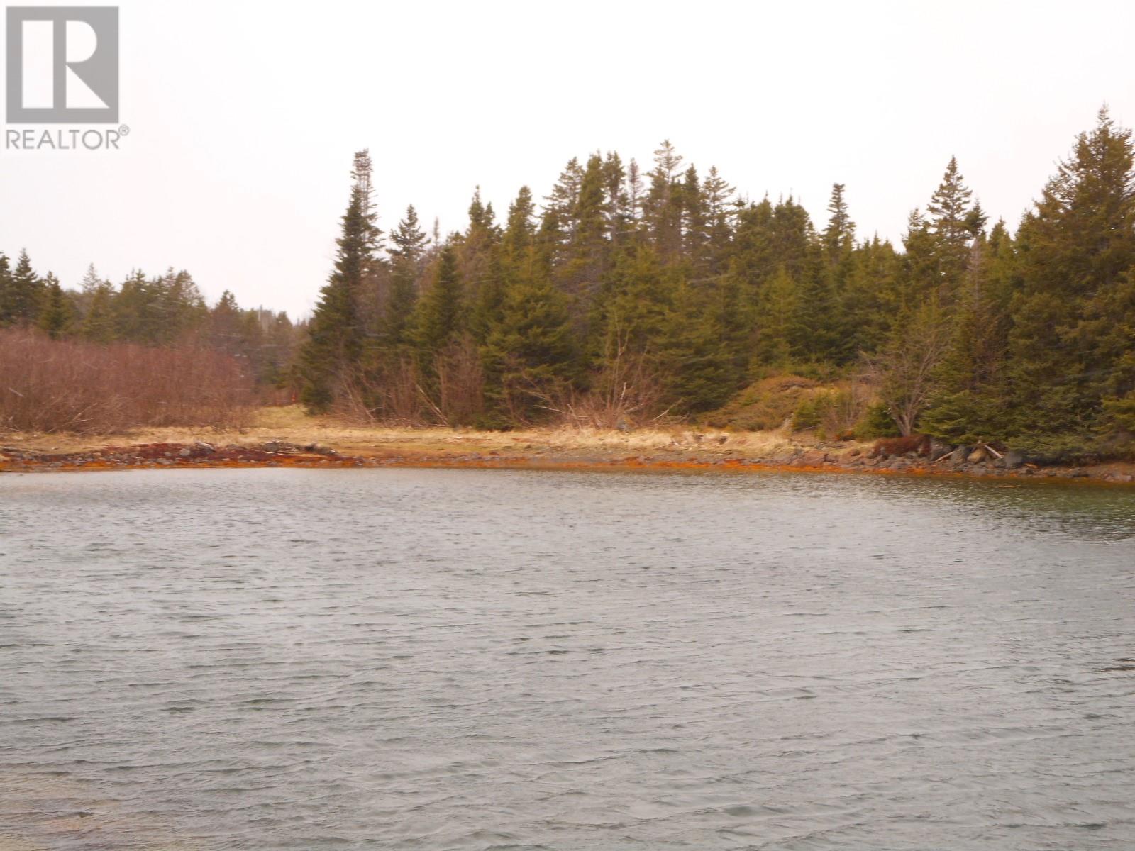 00 Main Street, Triton, Newfoundland & Labrador  A0J 1V0 - Photo 5 - 1284989