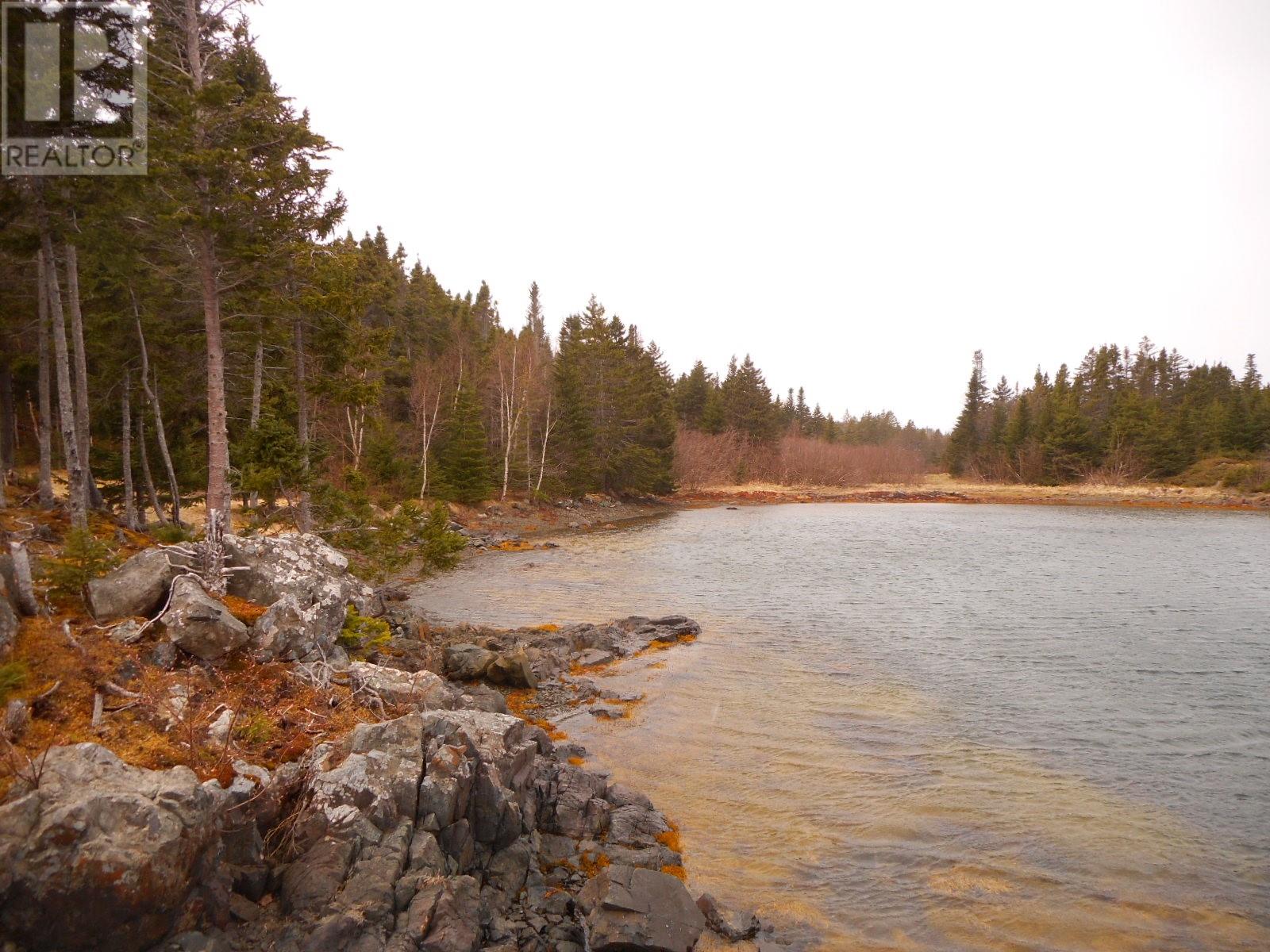 00 Main Street, Triton, Newfoundland & Labrador  A0J 1V0 - Photo 6 - 1284989