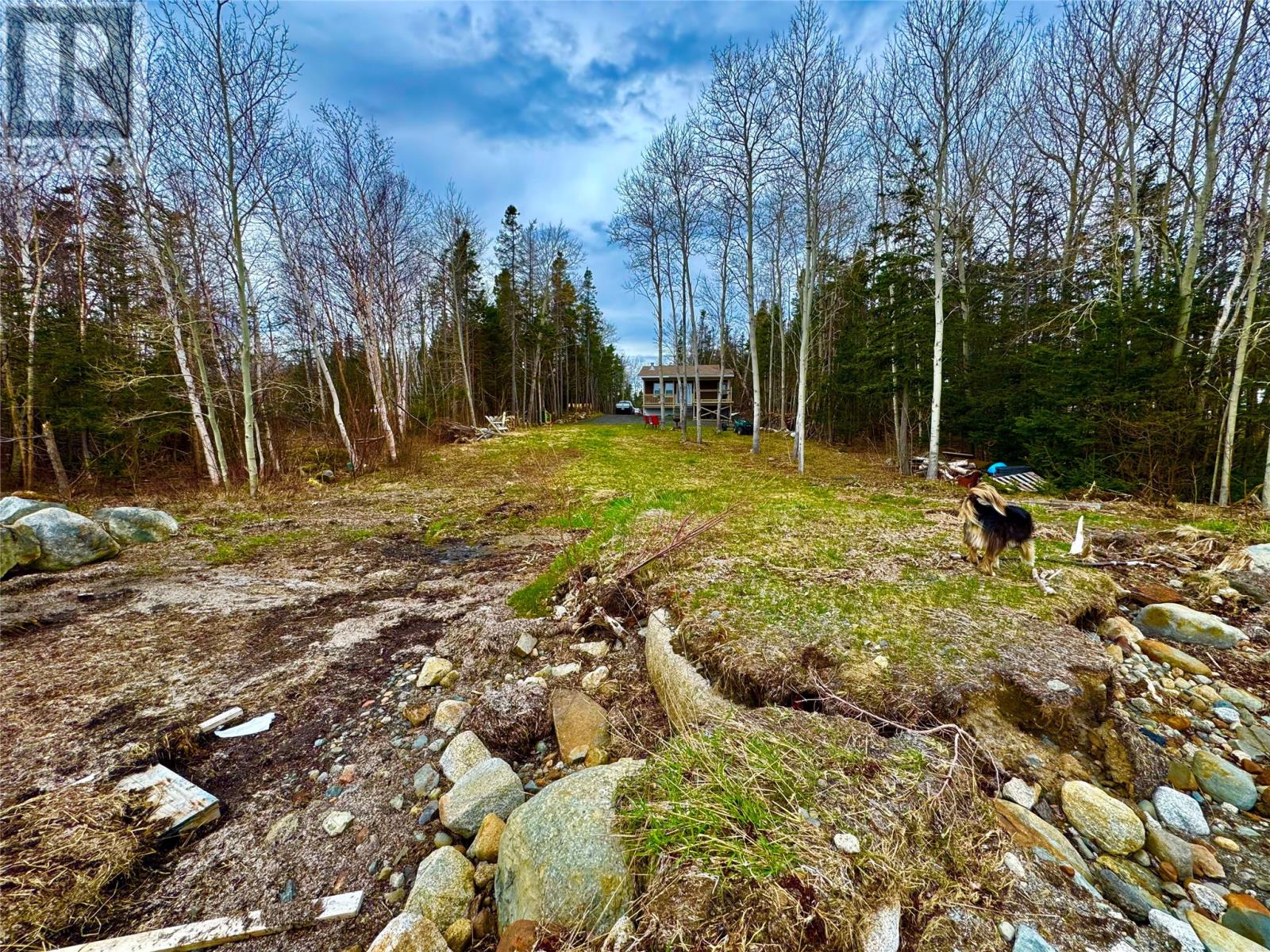 14 Route 343 Comfort Cove Highway, Comfort Cove, Newfoundland & Labrador  A0G 3K0 - Photo 34 - 1284963
