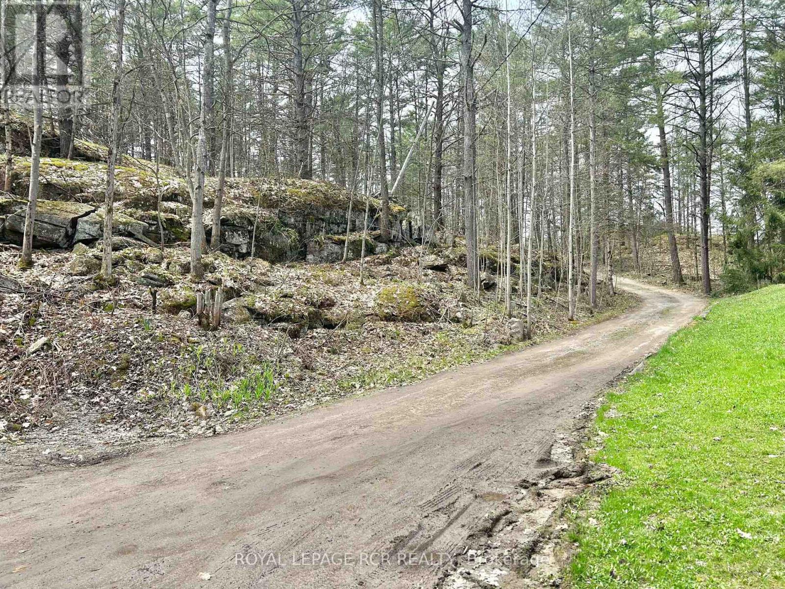 3179 Pioneer Road, Severn, Ontario  K0K 1E0 - Photo 8 - S12134138