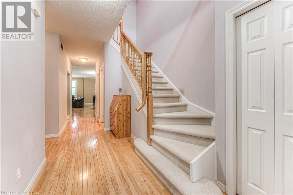 Property at 38 NORMAN Street image 3