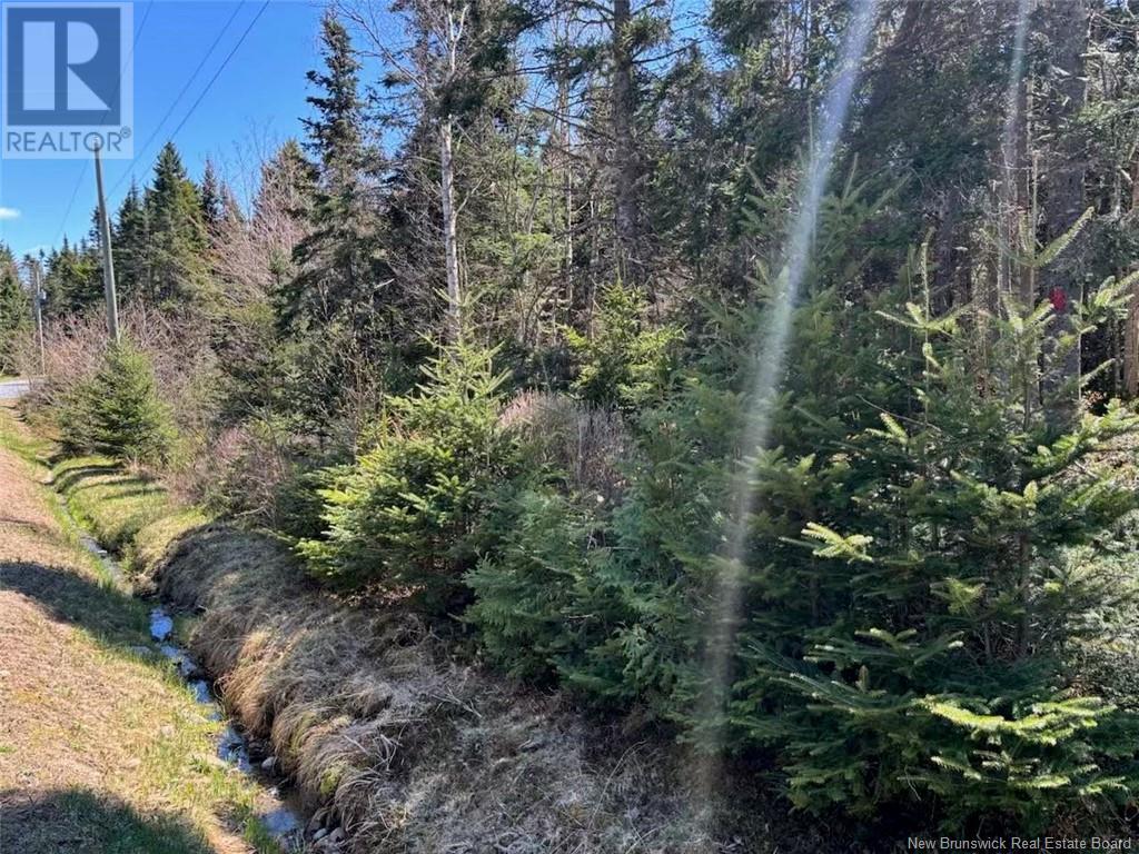 Lot 25-4 Peaceful Mountain Road, Clifton Royal, New Brunswick  E5S 2N4 - Photo 4 - NB118473