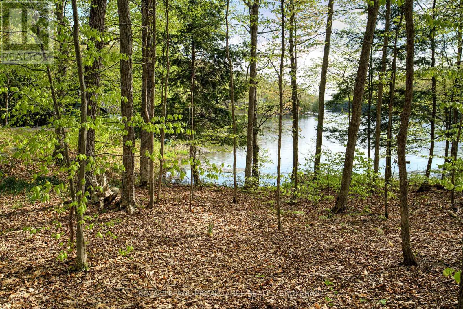 199 West Devil Lake Lane, Frontenac (Frontenac South), Ontario  K0H 2L0 - Photo 40 - X12021090
