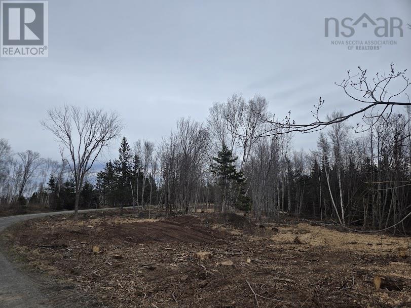 Lot 21 Birch Hill Lane, Caribou River, Nova Scotia  B0K 1H0 - Photo 1 - 202510893