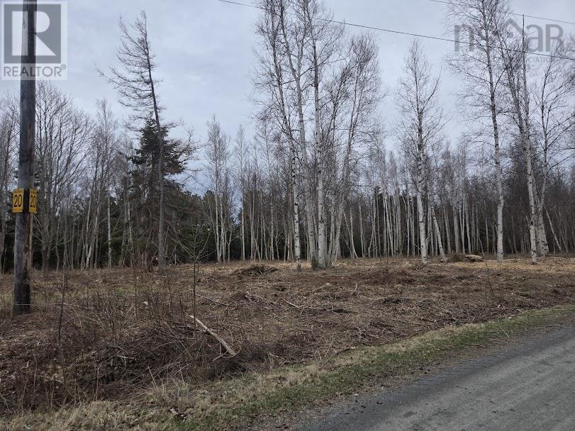 Lot 23 Birch Hill Lane, Caribou River, Nova Scotia  B0K 1H0 - Photo 2 - 202510896