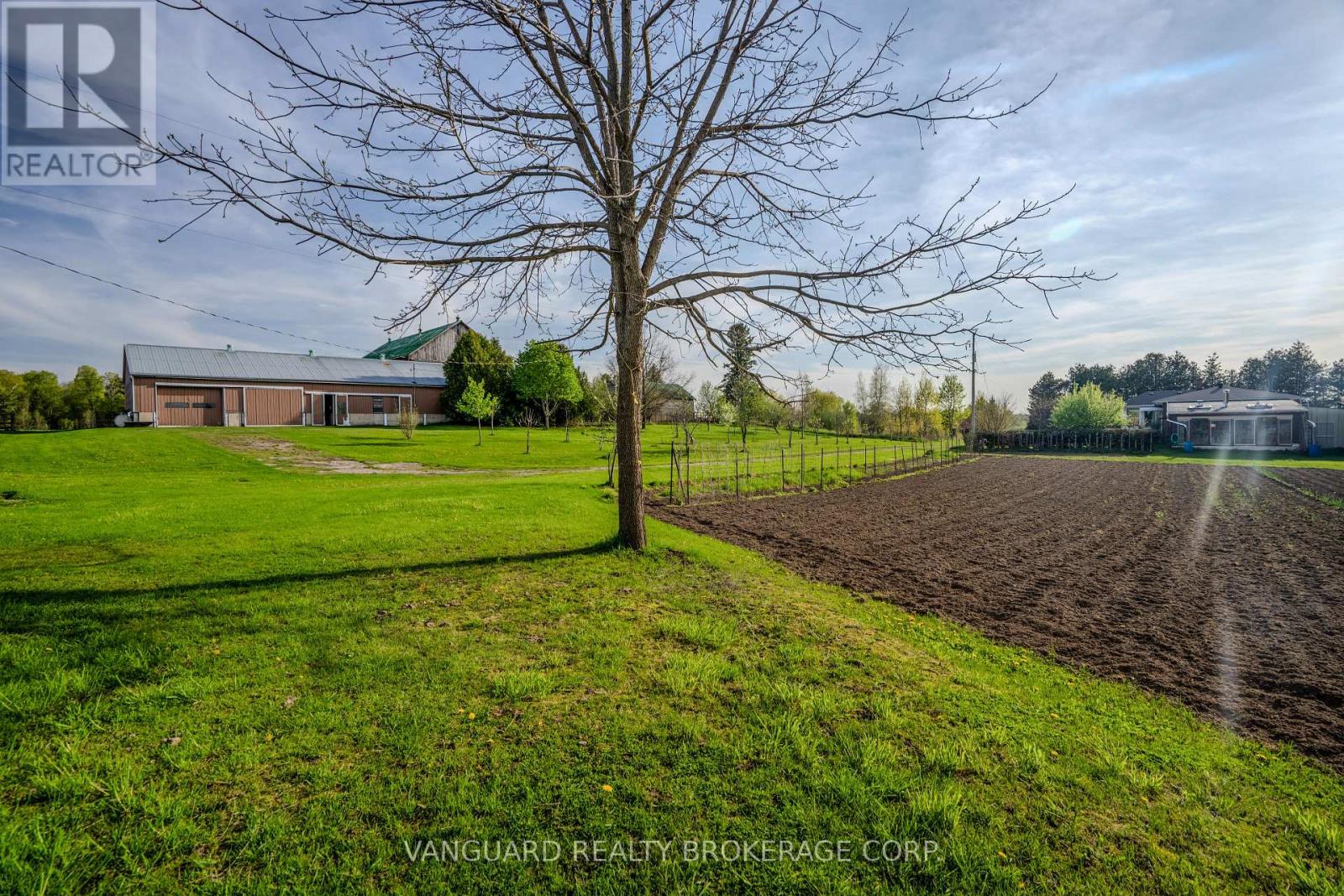 3269 Concession 7 Road, Adjala-Tosorontio, Ontario  L0G 1L0 - Photo 10 - N11932127