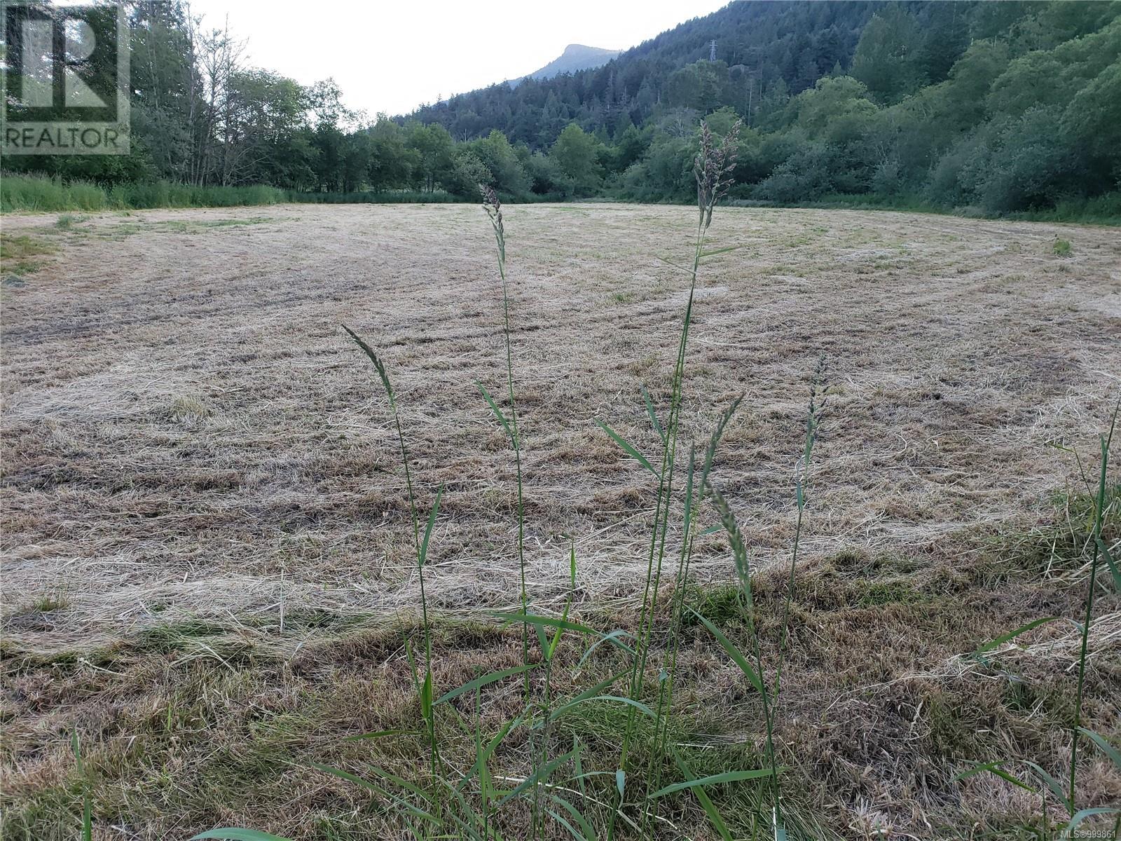Lot B Westholme Rd, Westholme, British Columbia  V9L 6B4 - Photo 8 - 999861