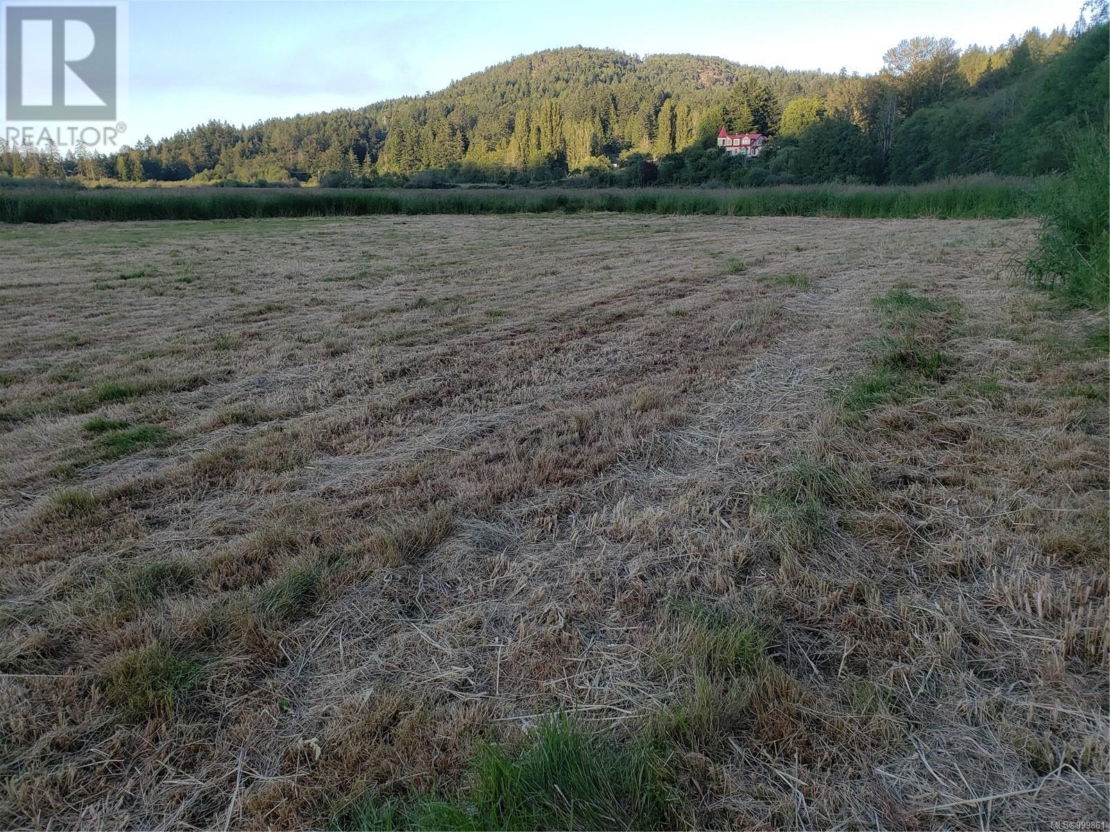 Lot B Westholme Rd, Westholme, British Columbia  V9L 6B4 - Photo 9 - 999861