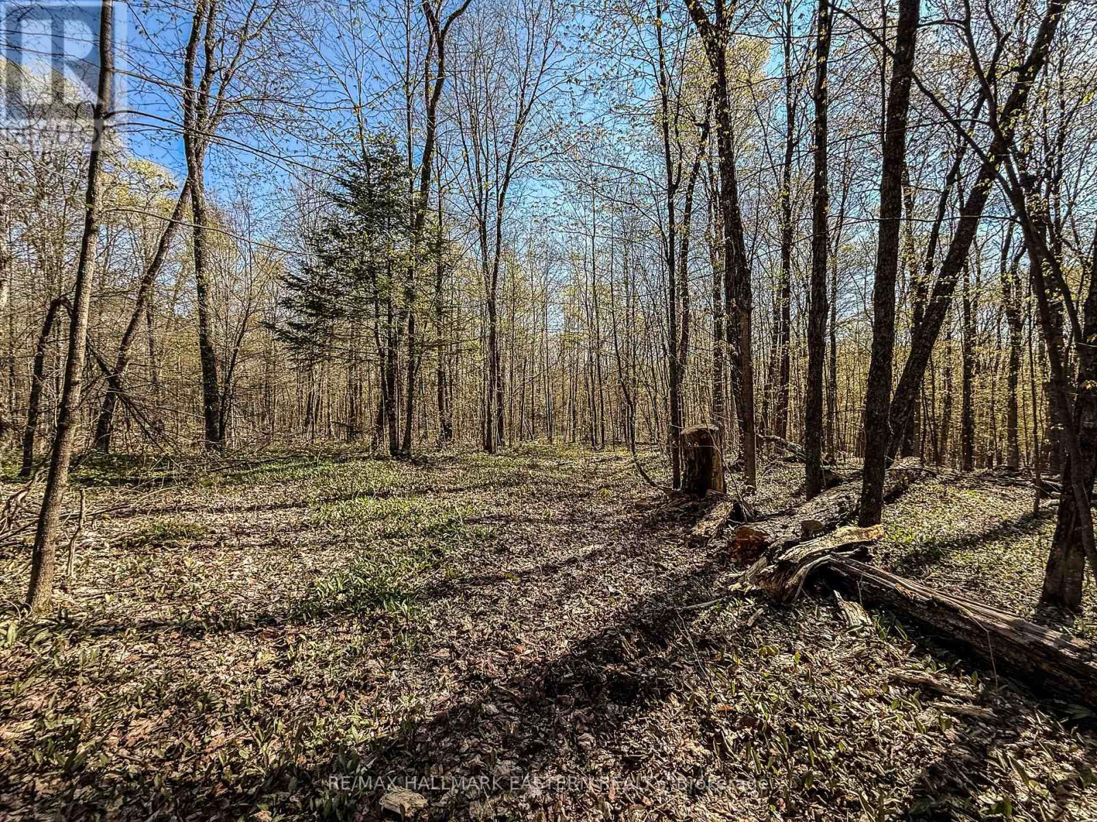 2494 HADLINGTON ROAD, Highlands East, Ontario
