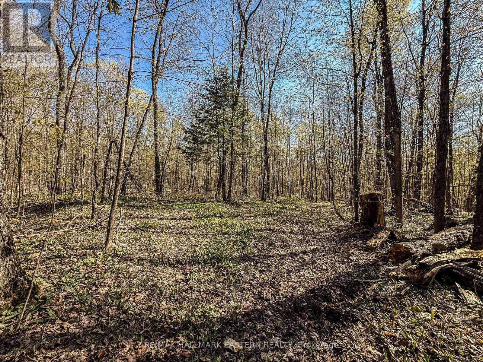 2494 Hadlington Road, Highlands East, Ontario  K0L 3K0 - Photo 12 - X12146596