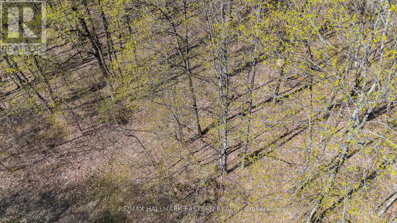 2494 Hadlington Road, Highlands East, Ontario  K0L 3K0 - Photo 13 - X12146596