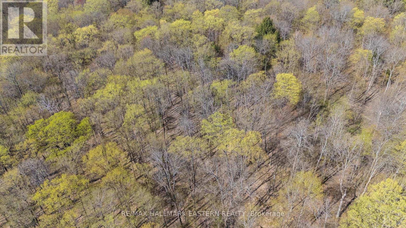 2494 Hadlington Road, Highlands East, Ontario  K0L 3K0 - Photo 14 - X12146596