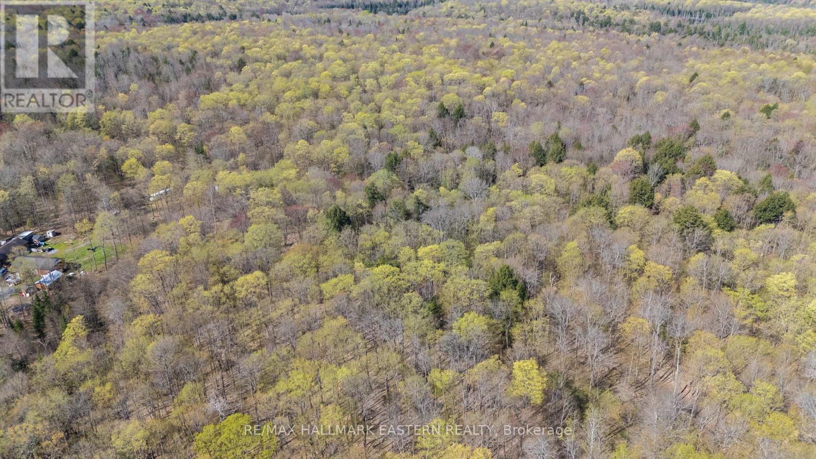 2494 Hadlington Road, Highlands East, Ontario  K0L 3K0 - Photo 16 - X12146596