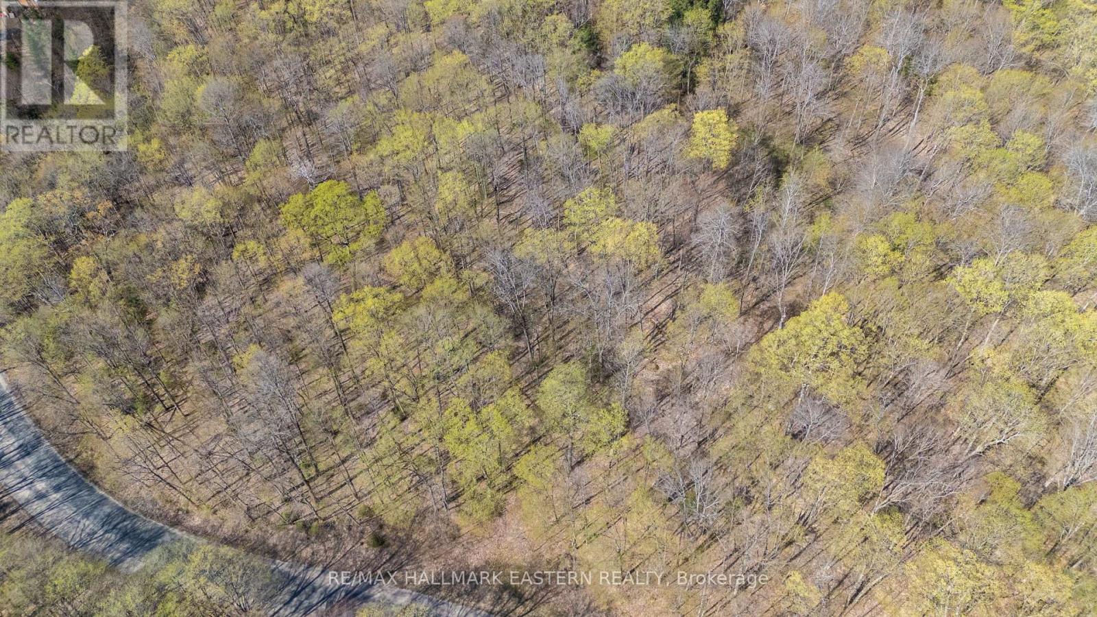 2494 Hadlington Road, Highlands East, Ontario  K0L 3K0 - Photo 17 - X12146596