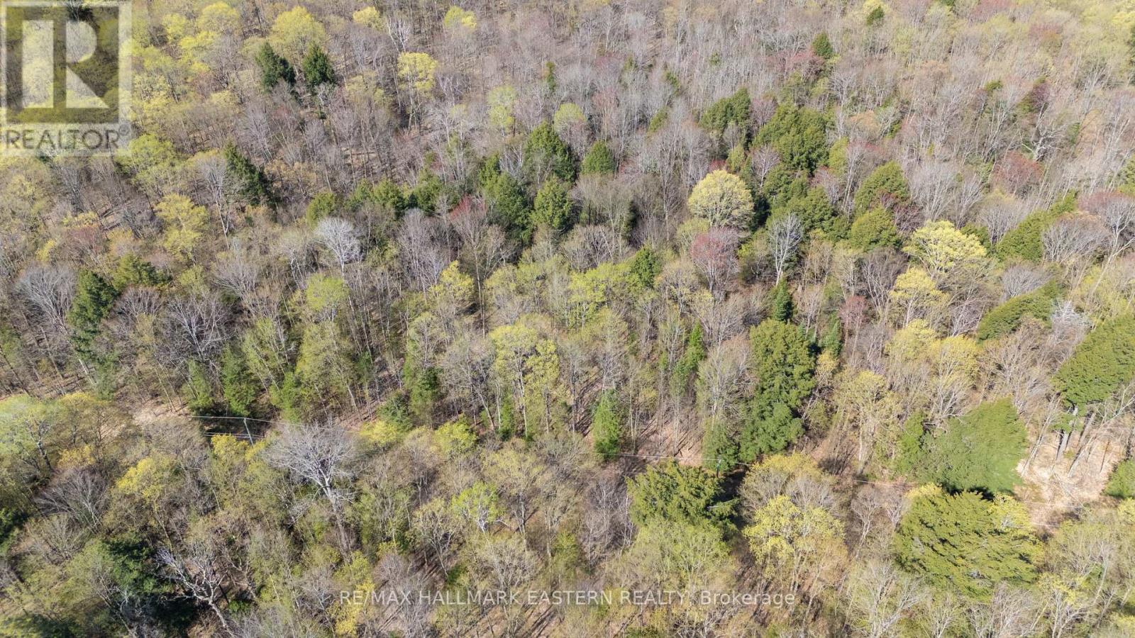 2494 Hadlington Road, Highlands East, Ontario  K0L 3K0 - Photo 18 - X12146596
