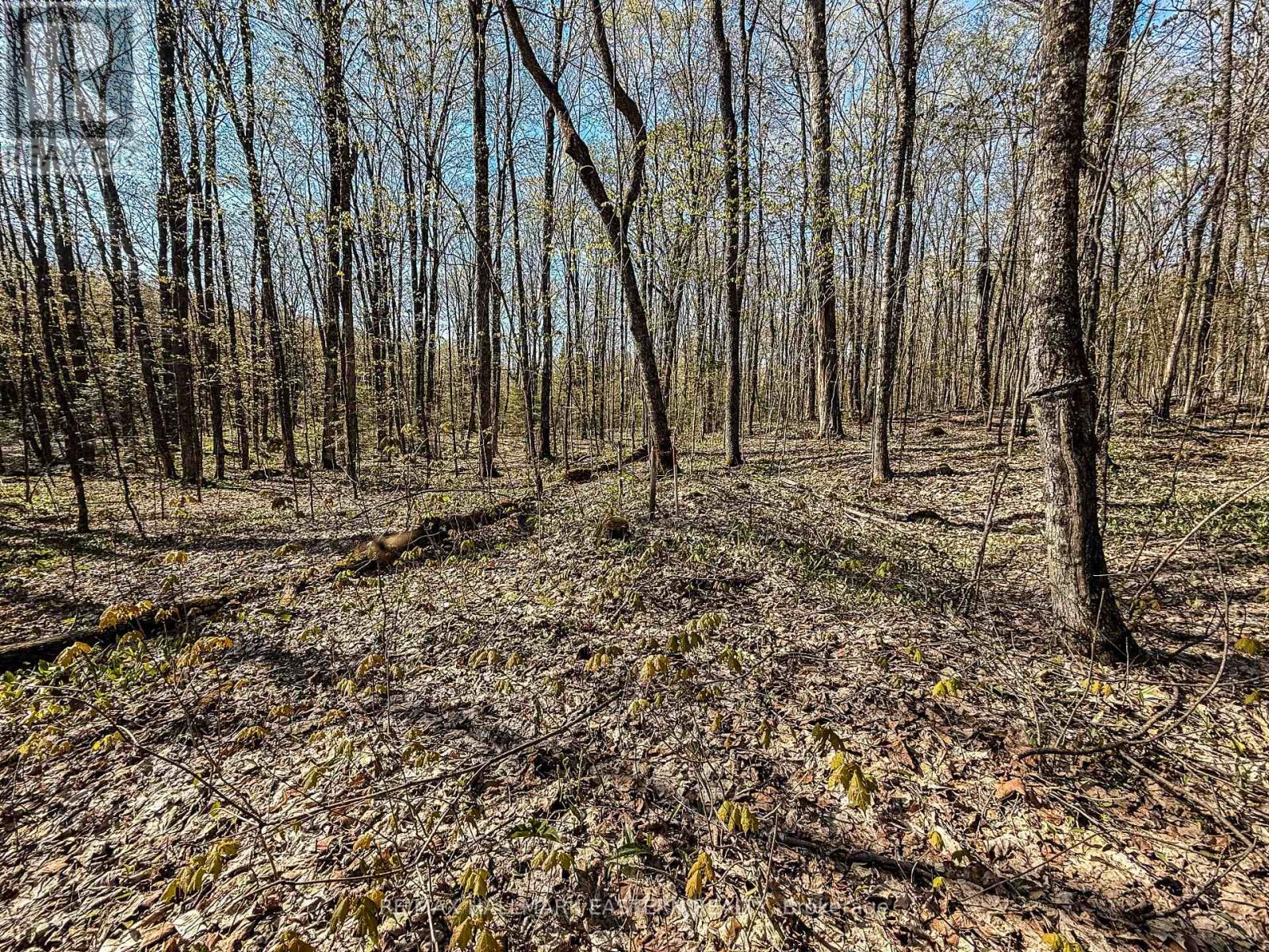 2494 Hadlington Road, Highlands East, Ontario  K0L 3K0 - Photo 23 - X12146596