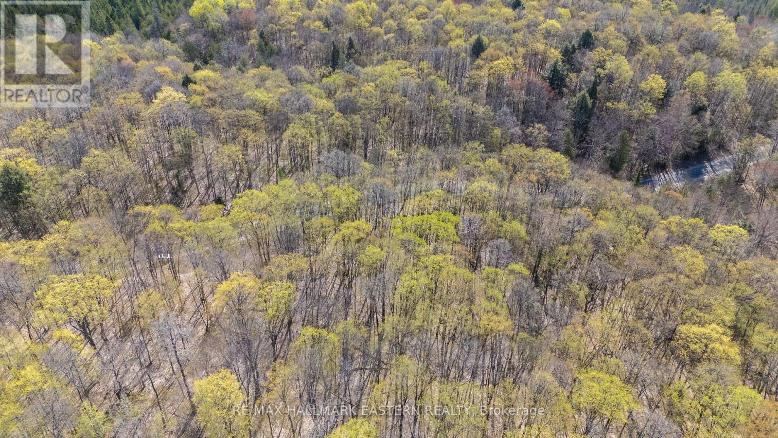 2494 Hadlington Road, Highlands East, Ontario  K0L 3K0 - Photo 25 - X12146596