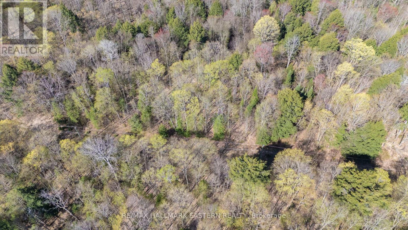 2494 Hadlington Road, Highlands East, Ontario  K0L 3K0 - Photo 26 - X12146596