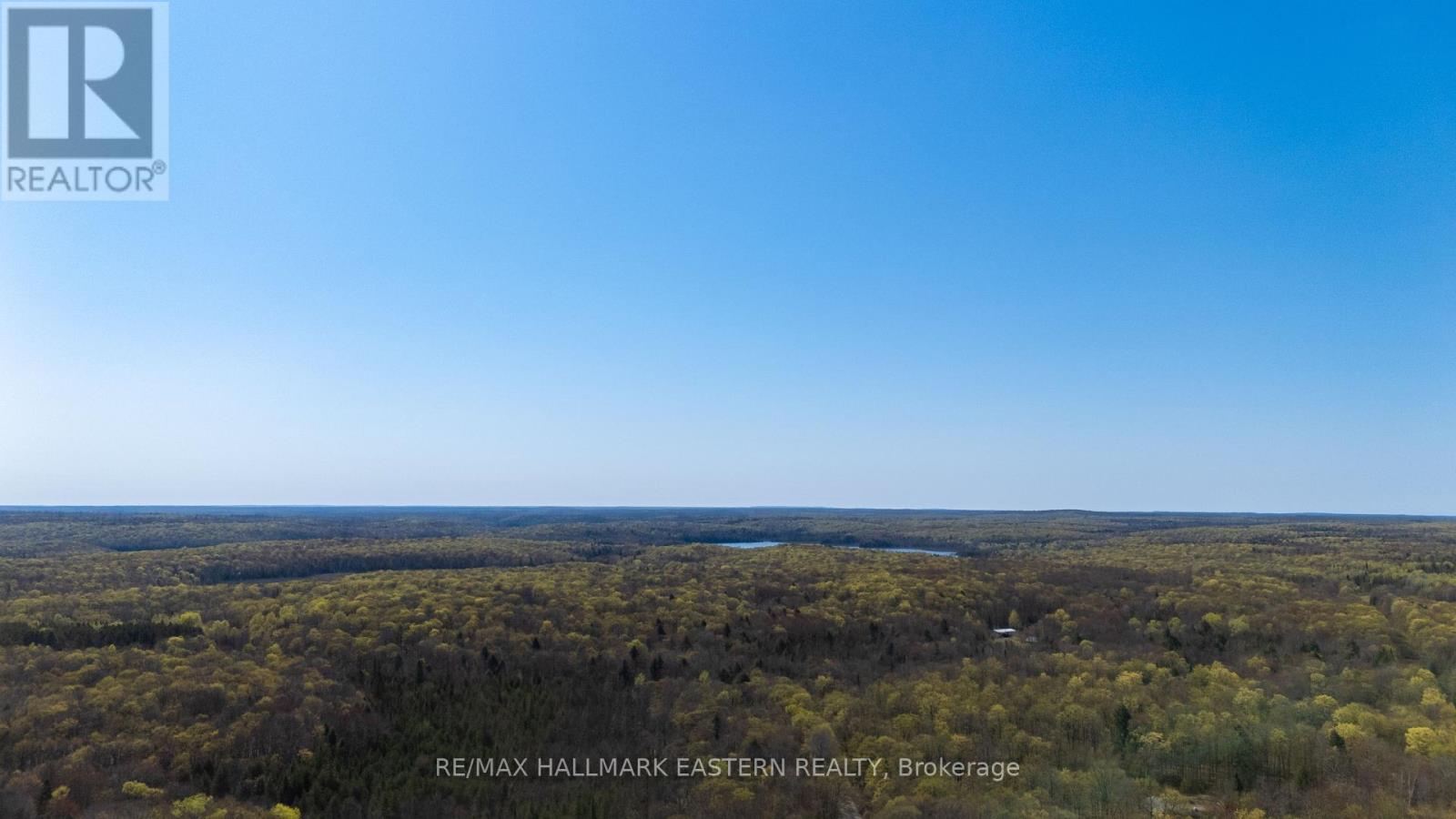 2494 Hadlington Road, Highlands East, Ontario  K0L 3K0 - Photo 3 - X12146596