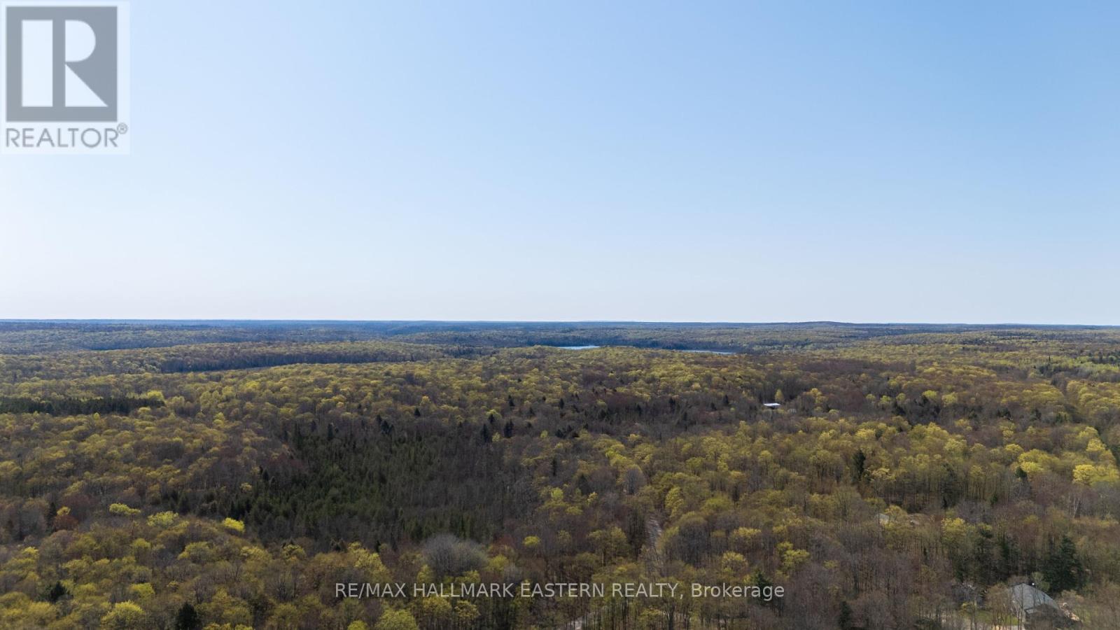 2494 Hadlington Road, Highlands East, Ontario  K0L 3K0 - Photo 9 - X12146596
