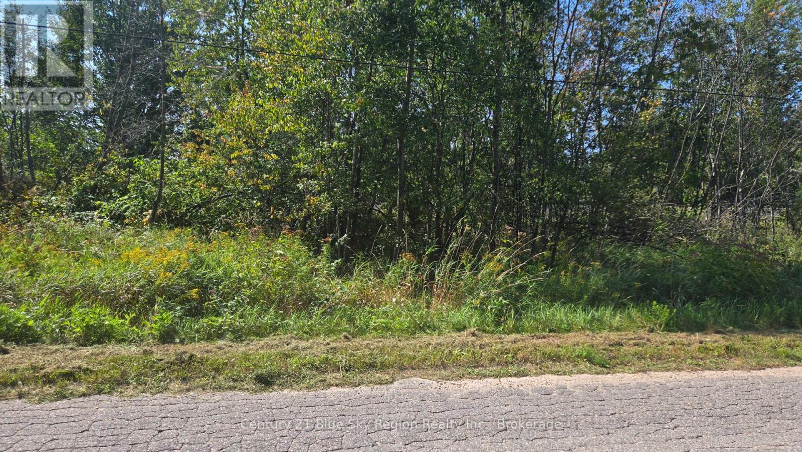 125 Big Bend Avenue, Powassan, Ontario  P0H 1Z0 - Photo 8 - X12146576