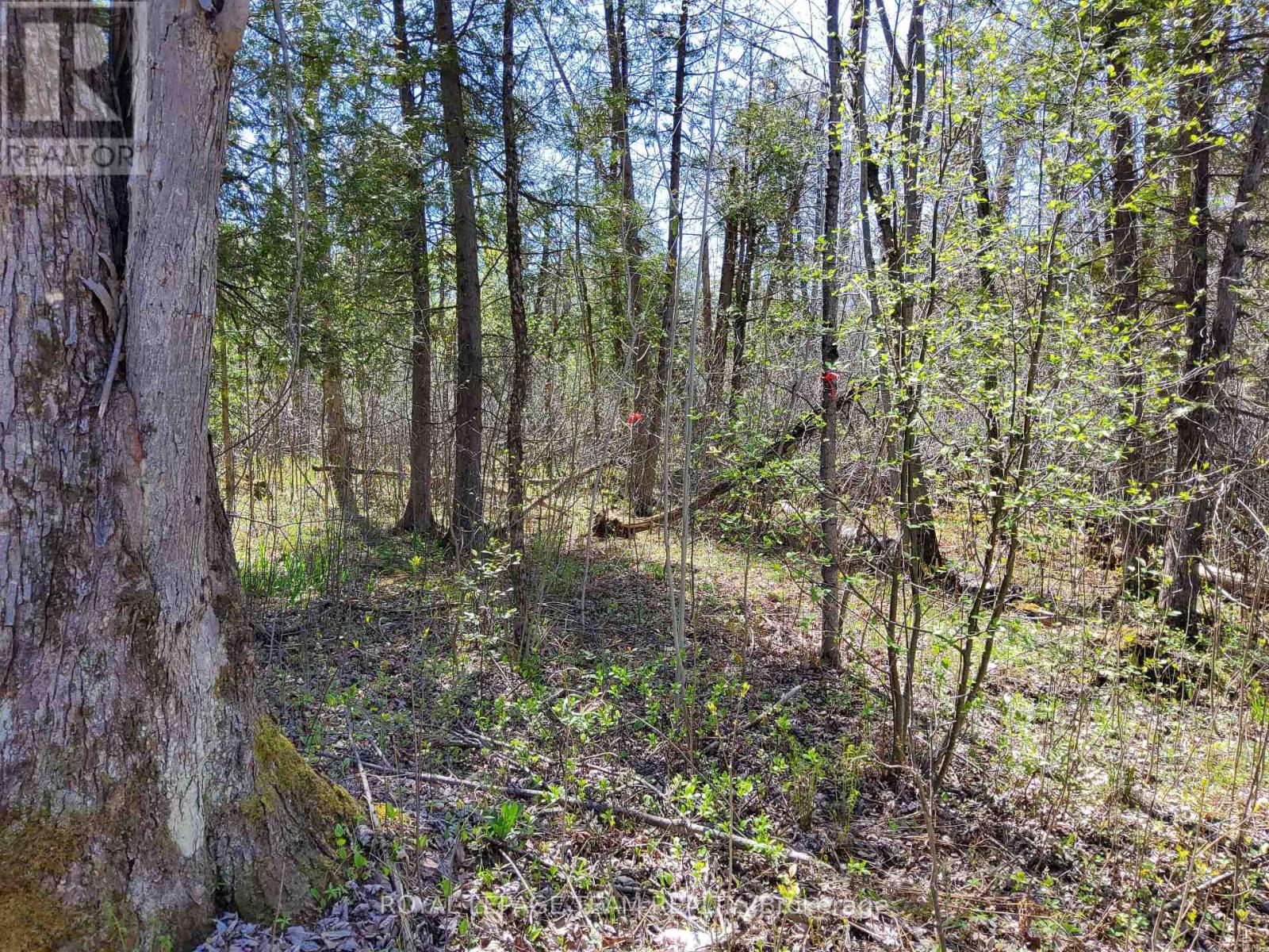 0 Totem Ranch Road, , Ontario  K0G 1T0 - Photo 10 - X12146589