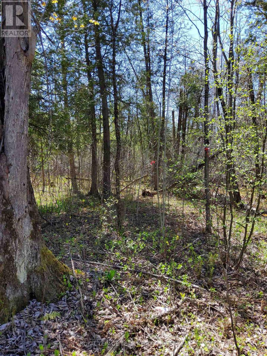 0 Totem Ranch Road, , Ontario  K0G 1T0 - Photo 11 - X12146589